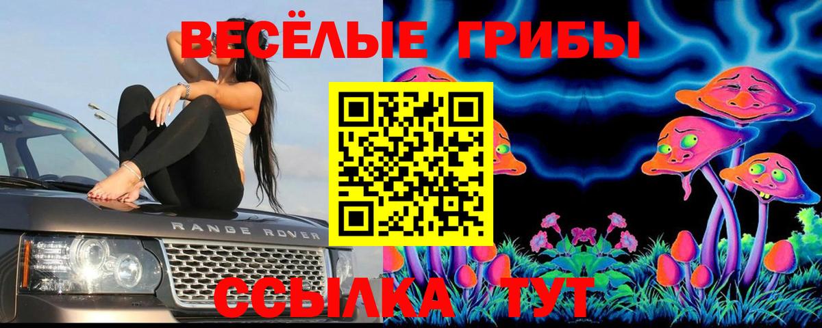 Галлюциногенные грибы GOLDEN TEACHER Елизово